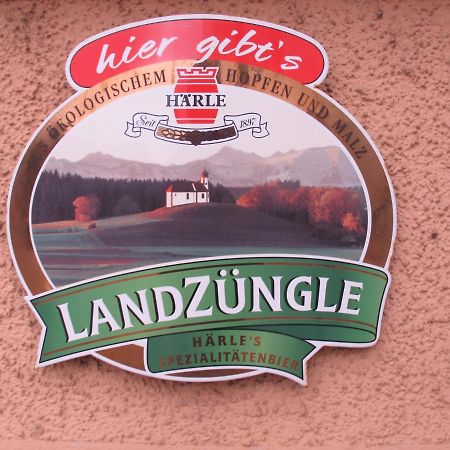 Gasthaus Adler Ξενοδοχείο Wangen im Allgäu Εξωτερικό φωτογραφία